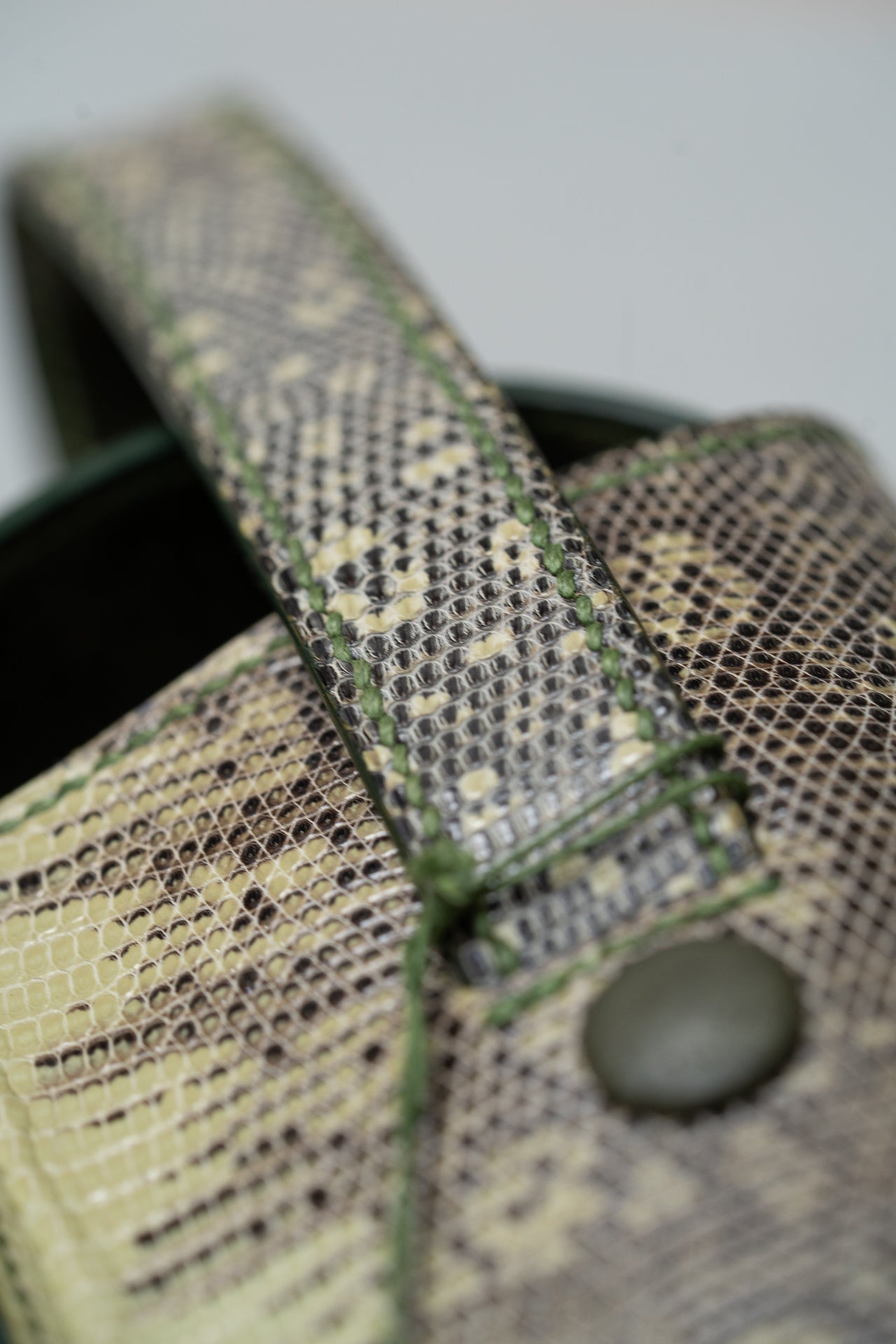 Iguane